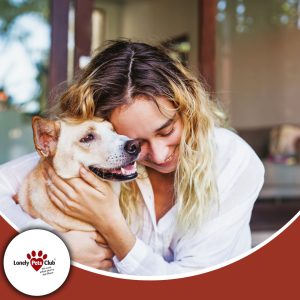 The Benefits of Pet Check-Ins: Why They’re Essential for Your Pet’s Wellbeing