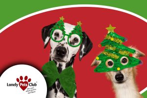 Don’t forget to book your holiday pet care